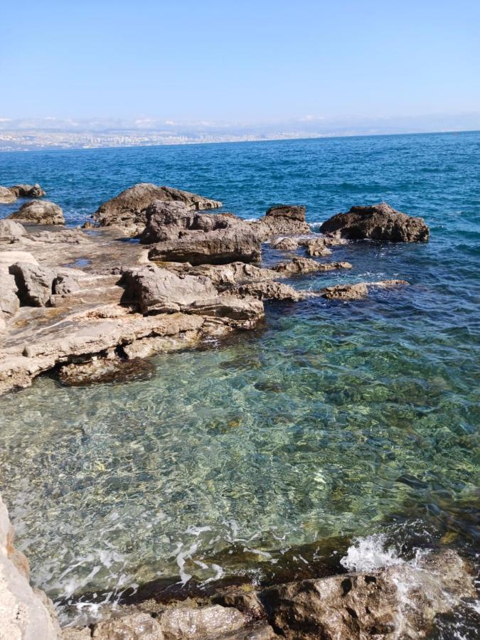 Apartment Lady Daniela Mit Meerblick In Lovran Εξωτερικό φωτογραφία