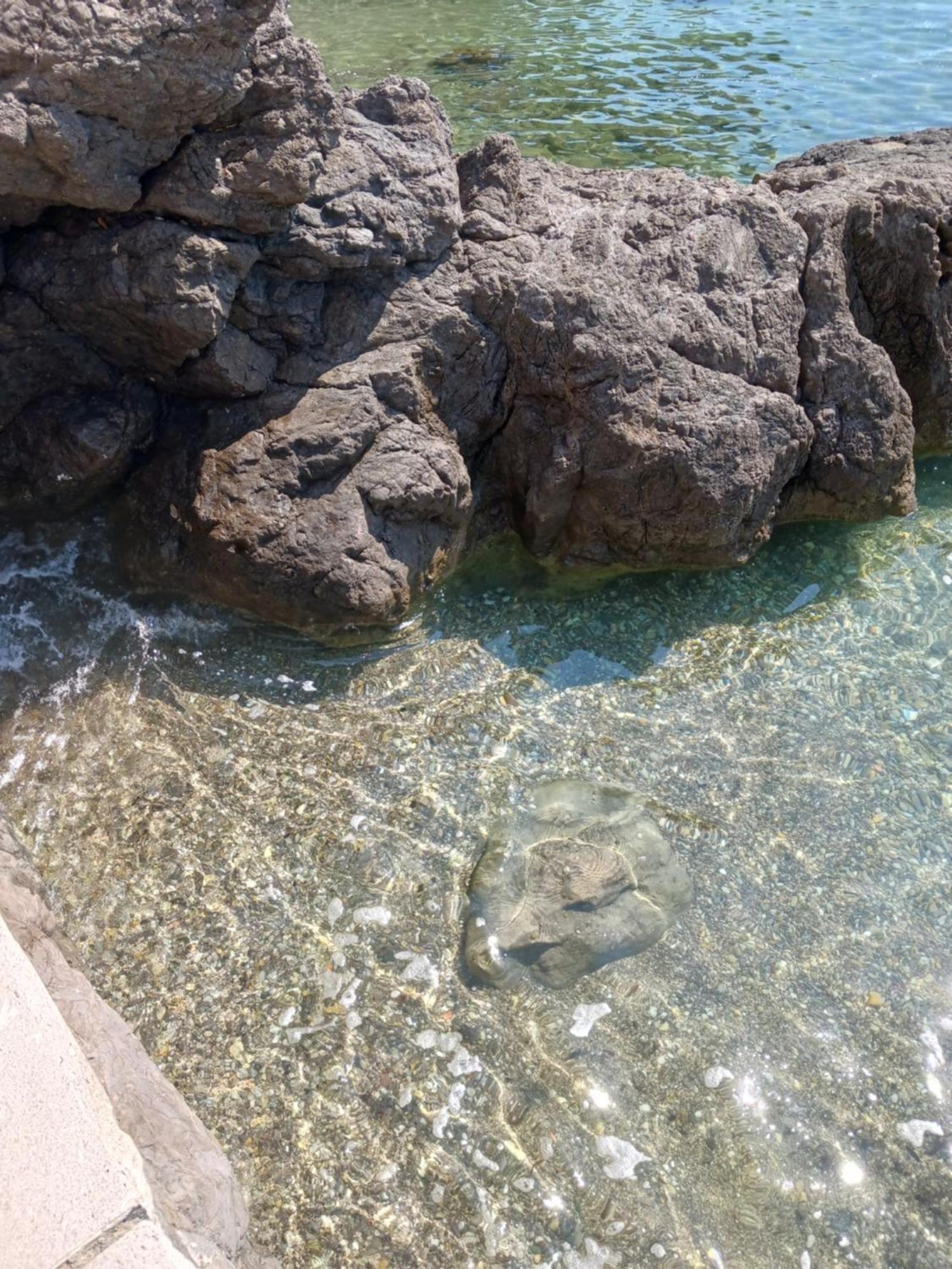 Apartment Lady Daniela Mit Meerblick In Lovran Εξωτερικό φωτογραφία